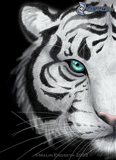 tiger.jpg